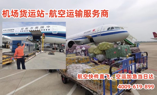 拉薩空運公司,當天送達的快遞服務